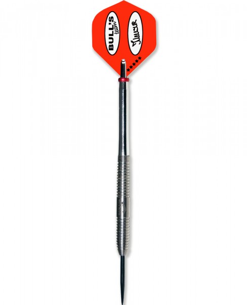 Bulls Champions Mensur Suljovic Steeldarts